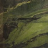 Green Bamboo granite