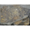 Hokie Okie Slab Flagstone