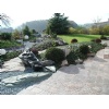 Garden Design - Courtyard Decoration