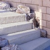 Stairs and Steps