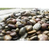 Natural Fossil Garden Stone
