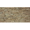 Sandstone FSN
