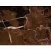 Black and Gold marble