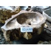 Sink- Fosil Wood Stone