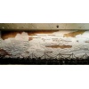 Relief, Embossment, Etching