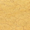 Golden Shell Beige