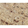 New Venetian Gold Granite
