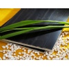 Imperial Jin Tan Marble Laminated Panel