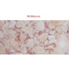 Rosalia Marble