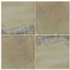Mint Fossil Sandstone