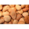 Orange Pebble Stone