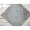 Handcarved Bluestone tile