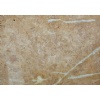 Pasha Gold marble