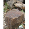 Tree Stone of Viet Nam