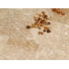 Classic Mixed Honed - Filled Travertine Tiles