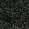 Cardinal Grey (Zhezhelevkiy)