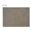 Fossil Limestone