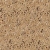 New Venetian Gold