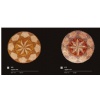 Round Travertine Mosaic Medallions