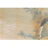 Fossil Sandstone