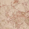 Lotus Rosalia Marble