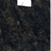 Coco Blue Granite