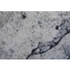 White Piracema