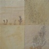 Fossil Mint Sandstone