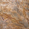 Rain Forest Brown