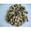 Gravel filter
