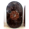 fossilized table