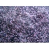 Purple Pearl