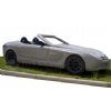 stone sculpture(car)
