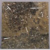 Fossil Brown marble