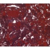 Rosa Lepando Artificial Marble