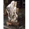 Petrified Wood