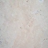 Mexican Light Travertine