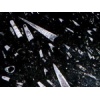 Fossile Noir - Moroccan Fossile Black