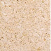 Amarelo Fossil de Poro Aberto Limestone