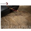 Philadelphia Scabos Travertine Pattern