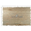 Ivory Fantasy granite slabs