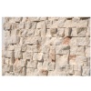 Split Face Limestone Mosaic