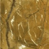 Fossil Gold