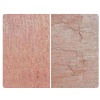 Lime Pink