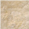 Lion - Desert Gold Limestone