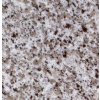 G640A Granite