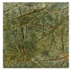 Rainforest Green