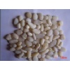 River stone,Pebble stone