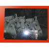 Animal shadow carving