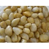 Yellow pebble stone